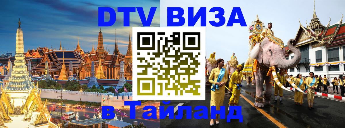 Сколько стоит DTV виза — актуальные цены, оформление даже без документов - Исламабад  08.01.2026 